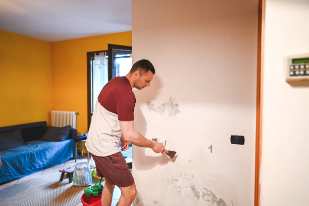 Best Mold Cleaning Services  in Cannon Beach, OR