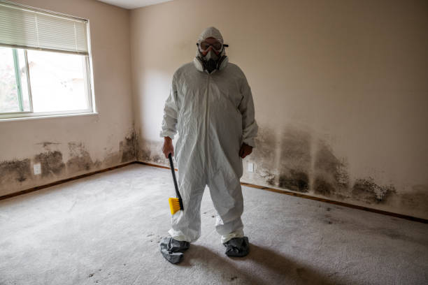 Best Mold Cleaning Services  in Cannon Beach, OR